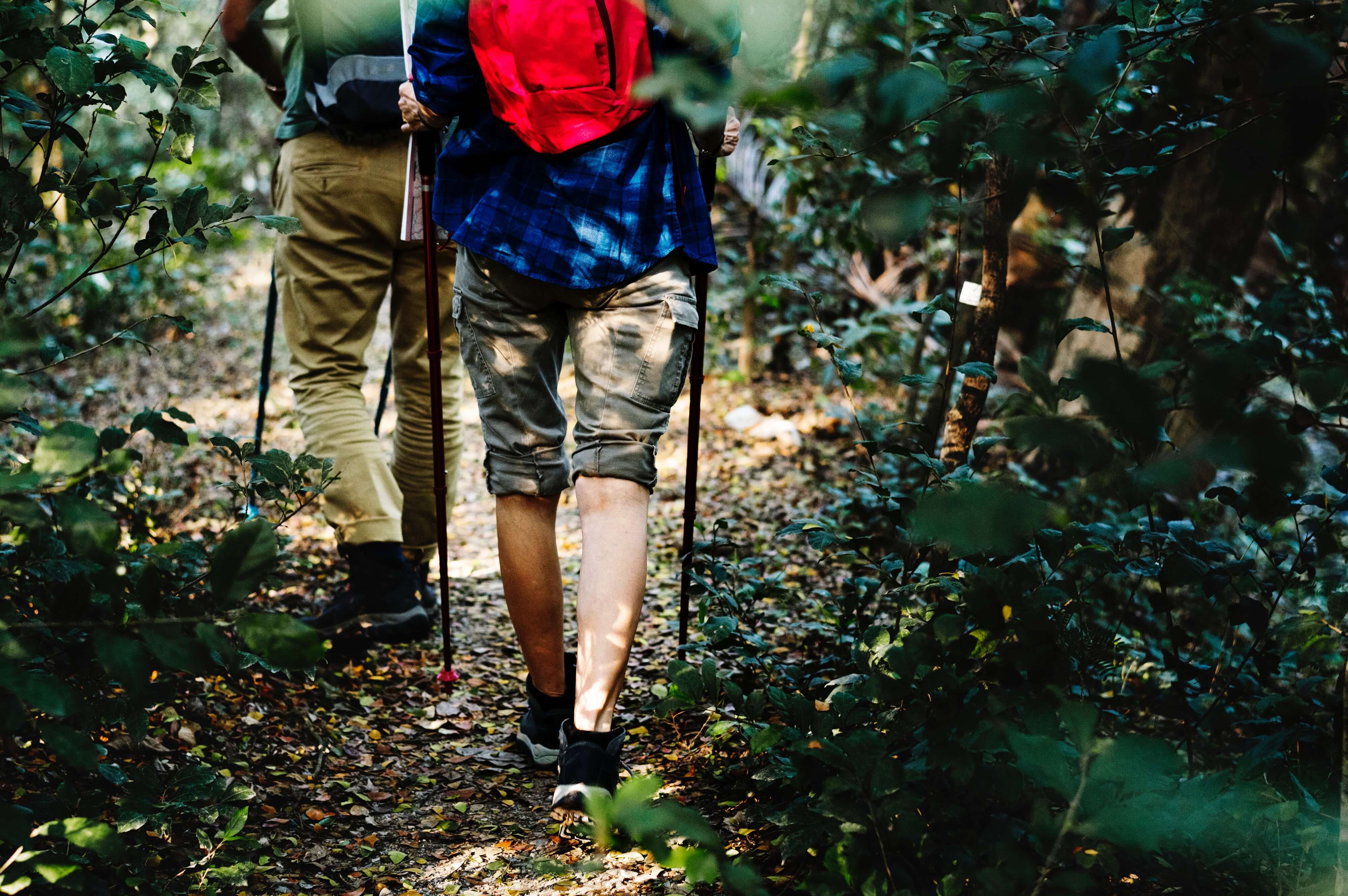 hiker with red backpacking walking through the forest